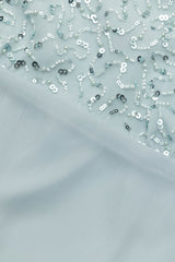 Beadie Sheer Chiffon Strapless Top