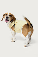 Pawfect Pet Tank Top