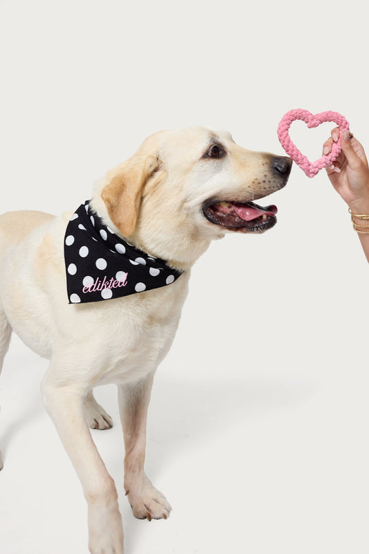 Fetching Heart Rope Toy