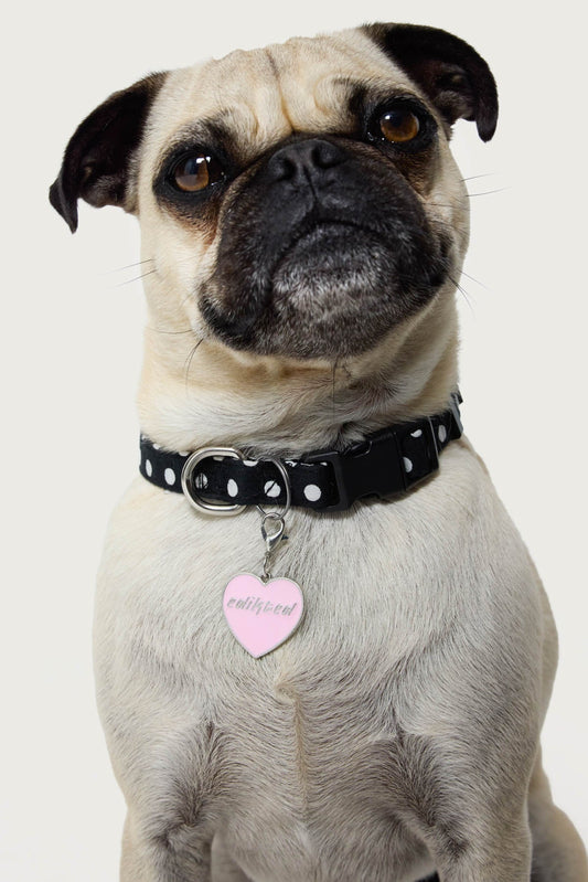 Heart Throb Collar Charm