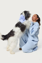 Bonney Bow Pet Bandana