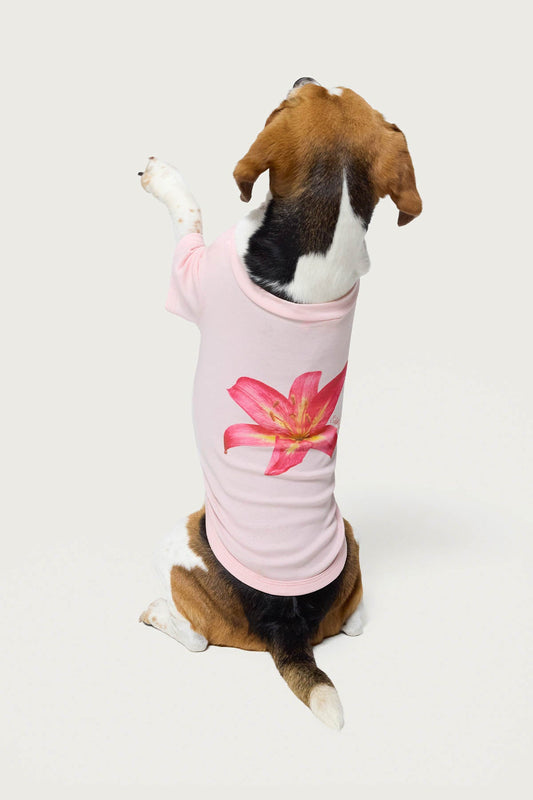Daylily Pet T Shirt