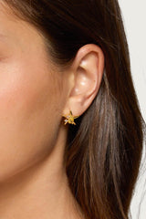 Sea Star Stud Earrings