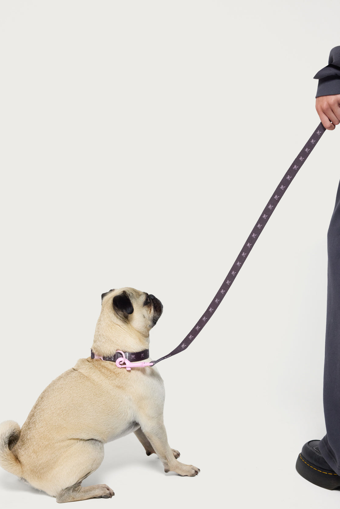 Bonney Bow Pet Leash