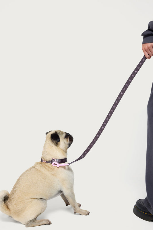 Bonney Bow Pet Leash