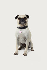 Heart Throb Collar Charm