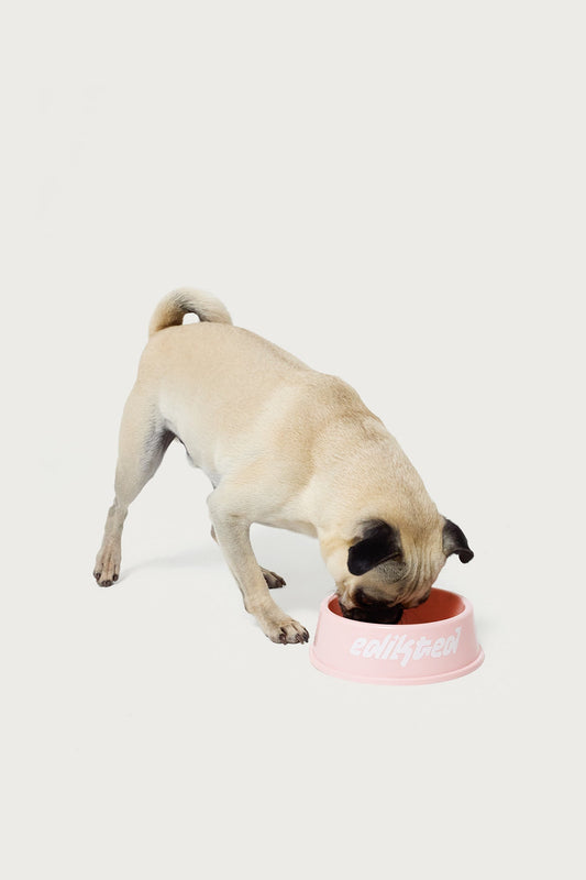Bone Appetit Pet Bowl